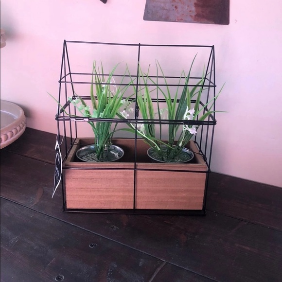 Plant Display - Picture 2 of 3